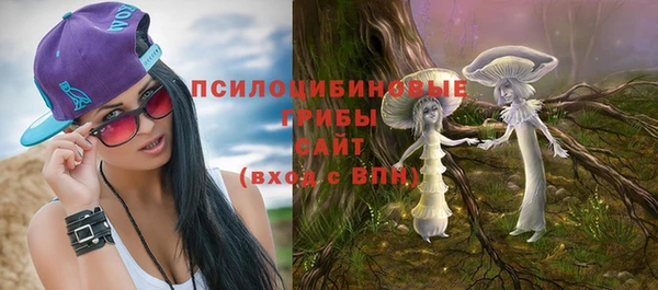 МДПВ Навашино