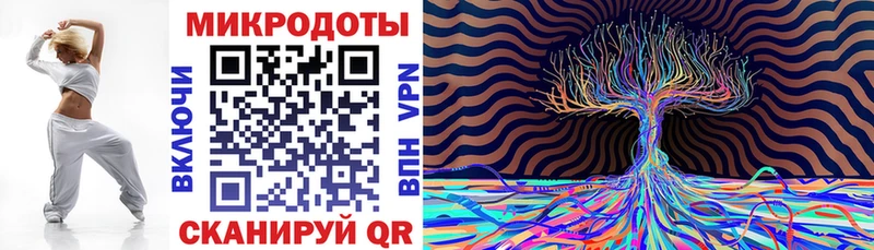 Галлюциногенные грибы Psilocybe  Югорск 